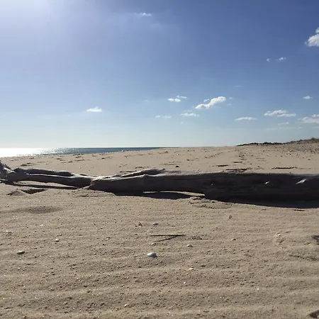 Pedras Del Rei, Nature&beach * Tavira