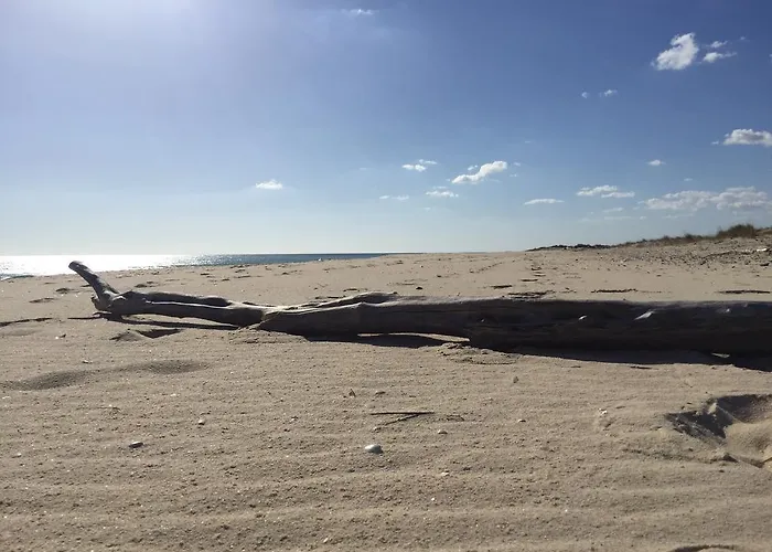 Pedras Del Rei, Nature&beach * Tavira