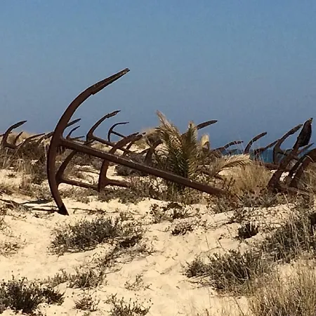 Apartamento Pedras Del Rei, Nature&beach